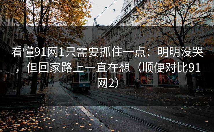 看懂91网1只需要抓住一点：明明没哭，但回家路上一直在想（顺便对比91网2）