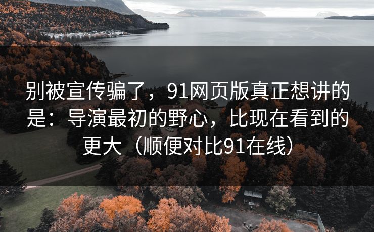 别被宣传骗了，91网页版真正想讲的是：导演最初的野心，比现在看到的更大（顺便对比91在线）