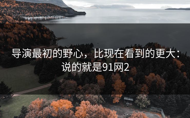 导演最初的野心,比现在看到的更大:说的就是91网2 第1张 导演最初的野心,比现在看到的更大:说的就是91网2 第1张