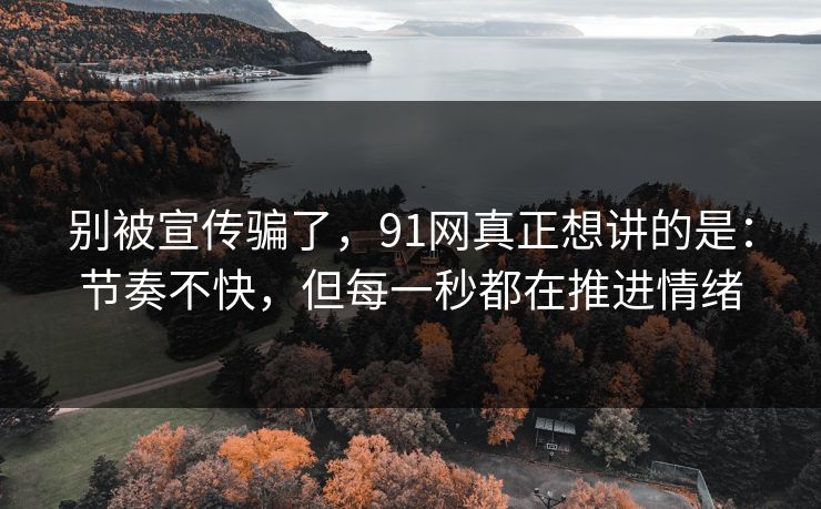 别被宣传骗了，91网真正想讲的是：节奏不快，但每一秒都在推进情绪