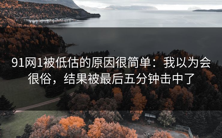 91网1被低估的原因很简单:我以为会很俗,结果被最后五分钟击中了